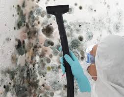 Mold Removal for HVAC Installations in South Dennis, MA